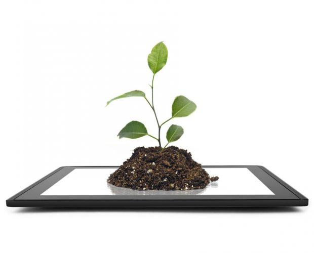 Bild mit wachsender Pflanze auf einem Tablet als Symbol für Werbetexte schreiben, die verkaufen
